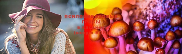 гидра Алексин