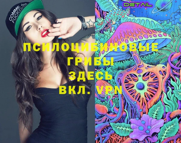 ГАЛЛЮЦИНОГЕННЫЕ ГРИБЫ Алексеевка