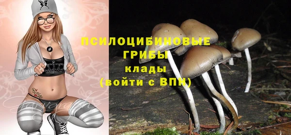 ГАЛЛЮЦИНОГЕННЫЕ ГРИБЫ Алексеевка