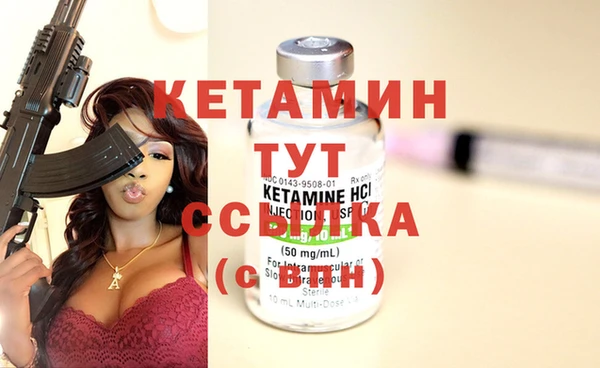 гидра Алексин