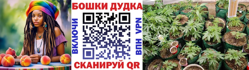 МАРИХУАНА LSD WEED  хочу   Шахты 